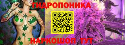 PSILOCYBIN Кингисепп